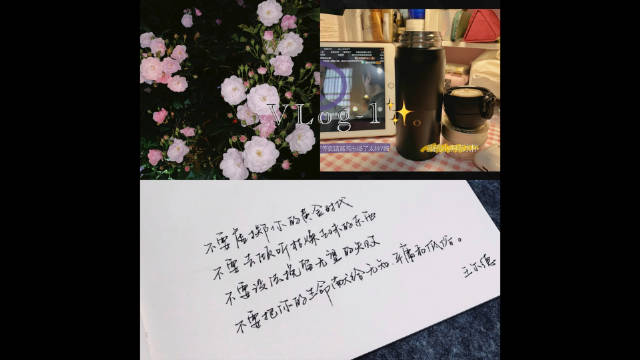 VLOG 一些被记录下来的片段...